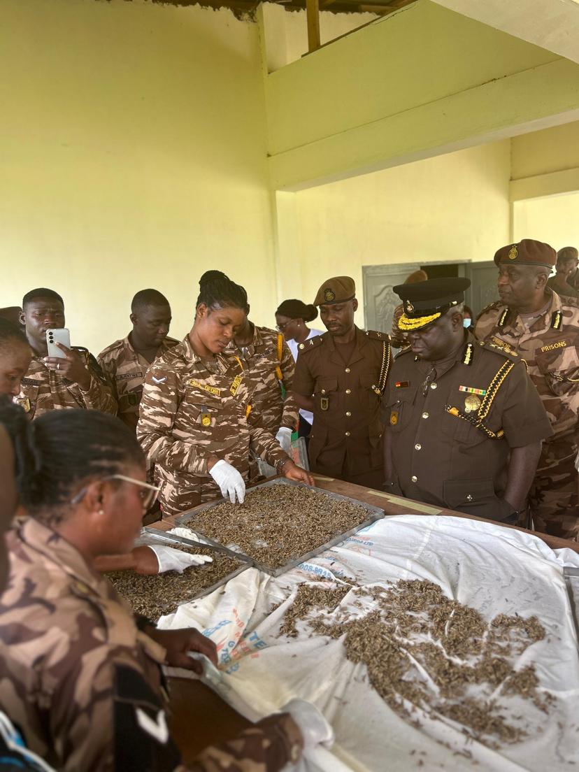 Promoting Sustainable Agriculture Practices: IITA and BNARI jointly trained the  Ghana Prisons Service on the BSF Technology. 