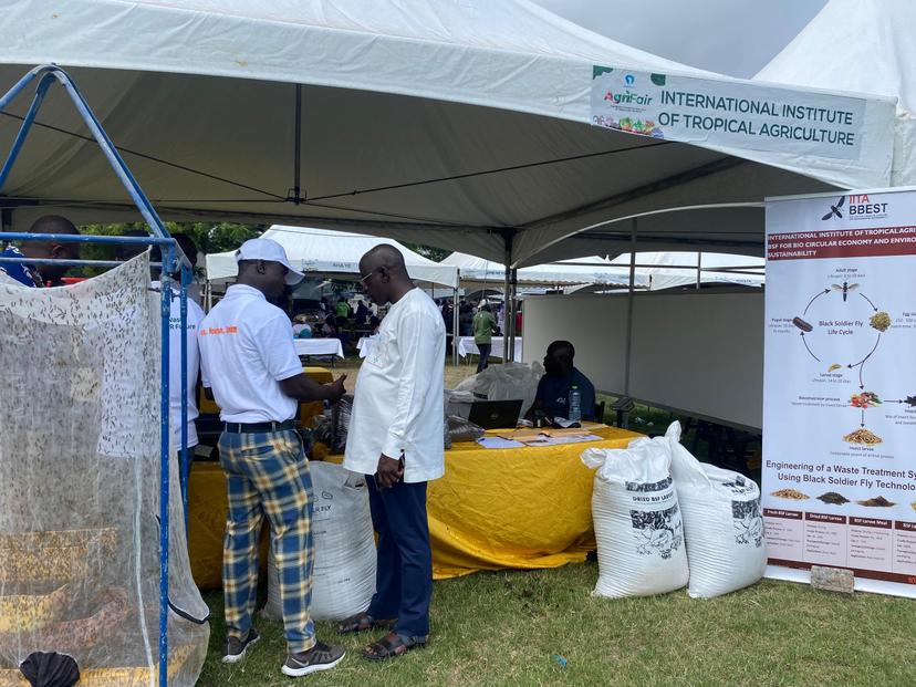 The IITA BBEST Project exhibits and promotes it BSF products at In Ghana during an Agrifair