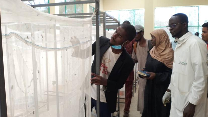 THE BLACK SOLBIER FLY LARVAE PRODUCTION UNIT: A REFERENCE CENTER IN NIAMEY