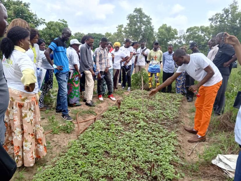 RDC: IITA BBEST et L'INERA forment des agripreneur sur la production d'engrais organique de la mouche soldat noire à Kinshasa lors d'un atelier.